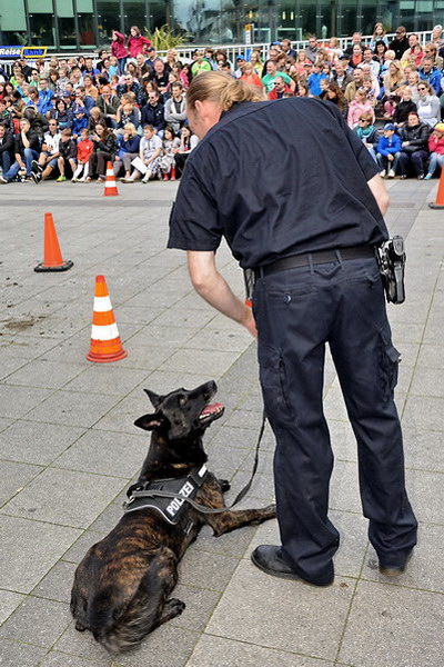 Polizeishow   028.jpg